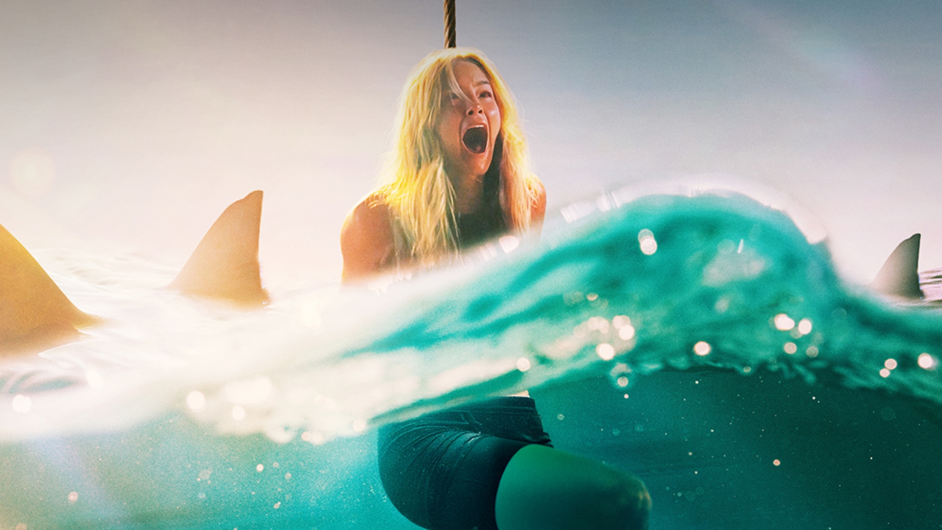 ANIMALES PELIGROSOS - DANGEROUS ANIMALS